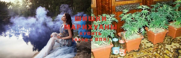 прущие крисы Балахна
