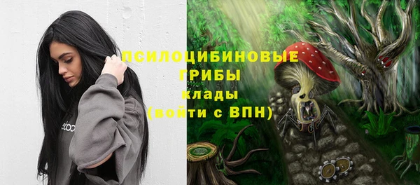 прущие крисы Балахна