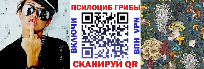 Псилоцибиновые грибы мухоморы  блэк спрут рабочий сайт  Дмитриев 